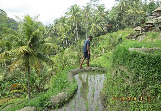Indonesia